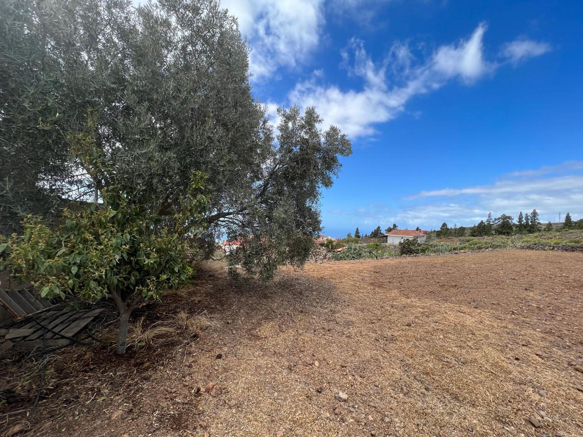 Casa Victoria Villa Costa Adeje Dış mekan fotoğraf